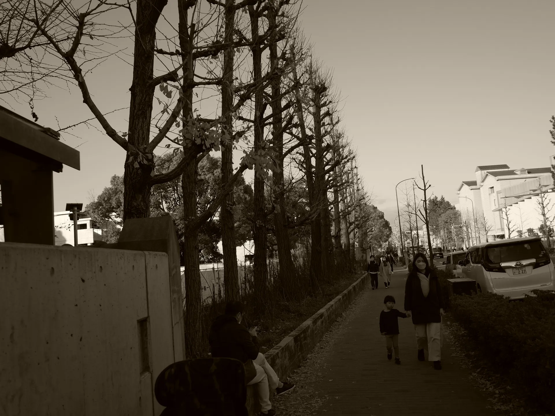 backGroundImage 06